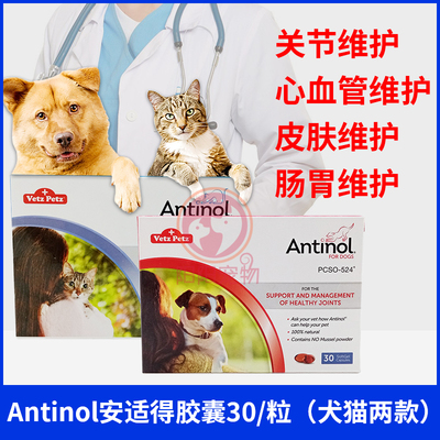 台湾犬猫关节炎折耳猫