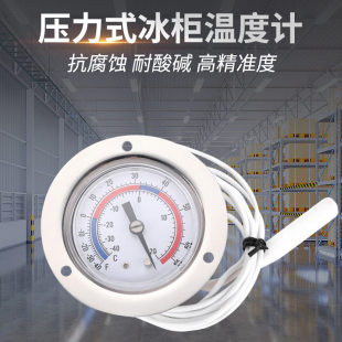 压力式冰箱温度计冰柜留样专用医药冷藏室冷冻柜高精度电子测温表