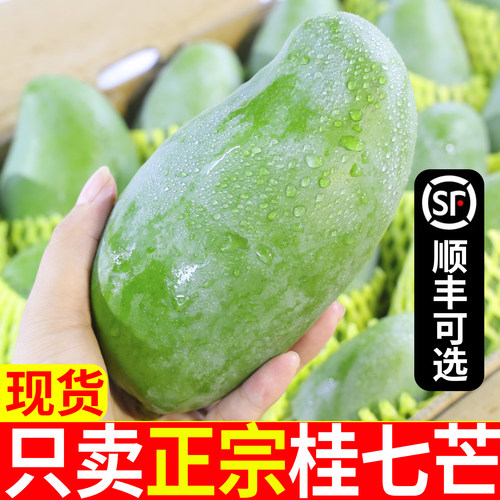 正宗广西桂七芒芒果不甜包赔