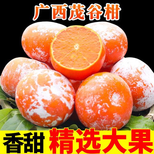 广西茂谷柑，行走的天然橘子汽水