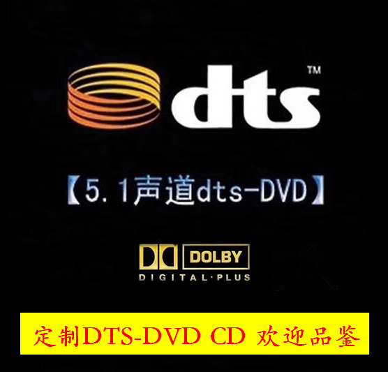 定制车载dts5.1dvd cd 杜比AC35.1立体多声道环绕无损dts发烧试音