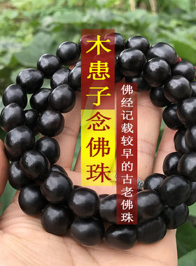 天然野生无患子鬼见愁佛珠