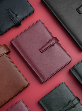 RAYMAY藤井Davinci达芬奇经典Super Royce系列 头层牛皮活页手账本 标准定番款