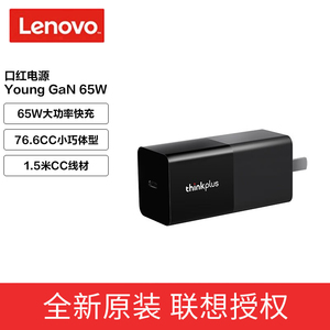 联想 ThinkPad thinkplus 口红电源Young 氮化镓 65w充电器多能快充适配器 GaN 65W口红电源（内含1.5m线）