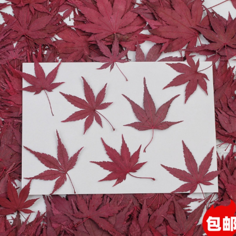 枫叶叶片秋季蛋糕装饰插件插牌