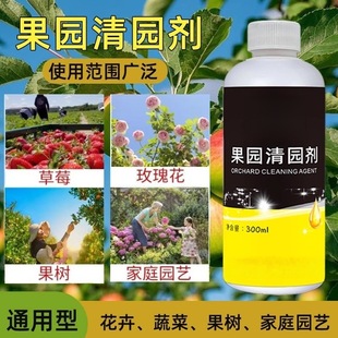 分销果园清园剂消杀灵叶面肥清满园果树清棚剂抗逆恢复果树树势