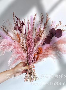 亚马逊热销小芦苇干花花束婚庆北欧风摆件小家居摆设花束橱窗道具