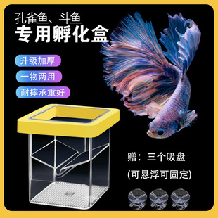 斗鱼透明亚克力悬浮隔离盒专用 母鱼产房鱼苗悬浮式漂浮孵化盒