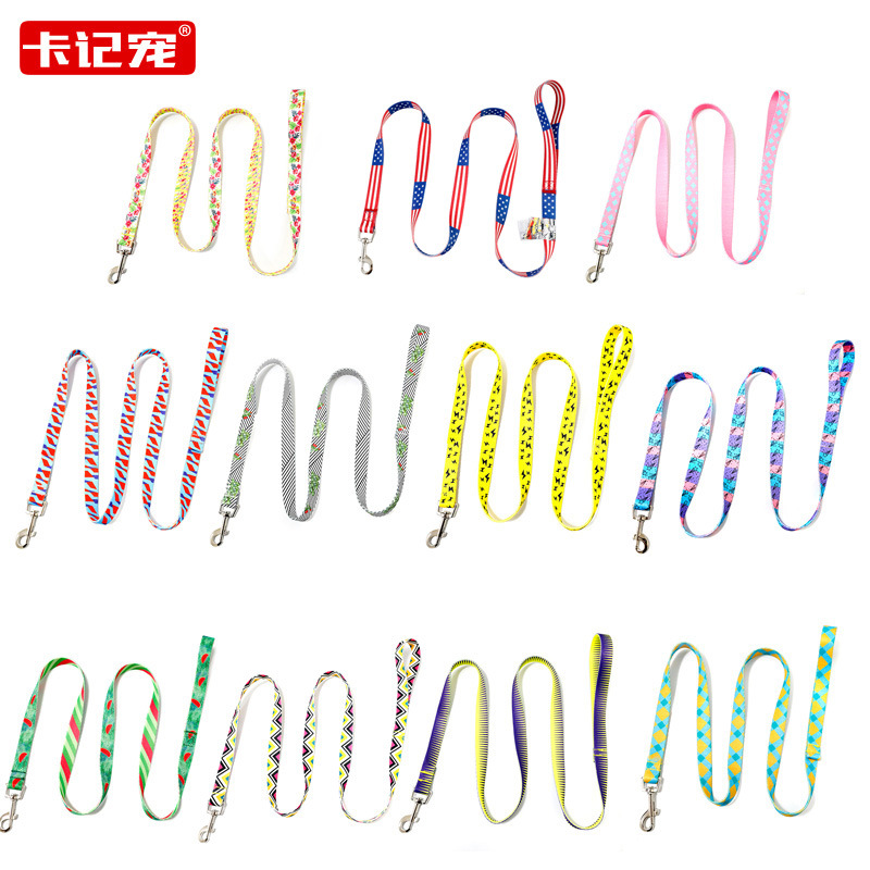 亚马逊潮牌宠物牵引绳猫咪泰迪巴哥柯基法斗胸背带遛狗绳项圈绳子