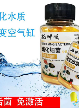 观赏鱼通用硝化细菌胶囊鱼缸去腥臭味净化水质打造空气缸降解氨氮