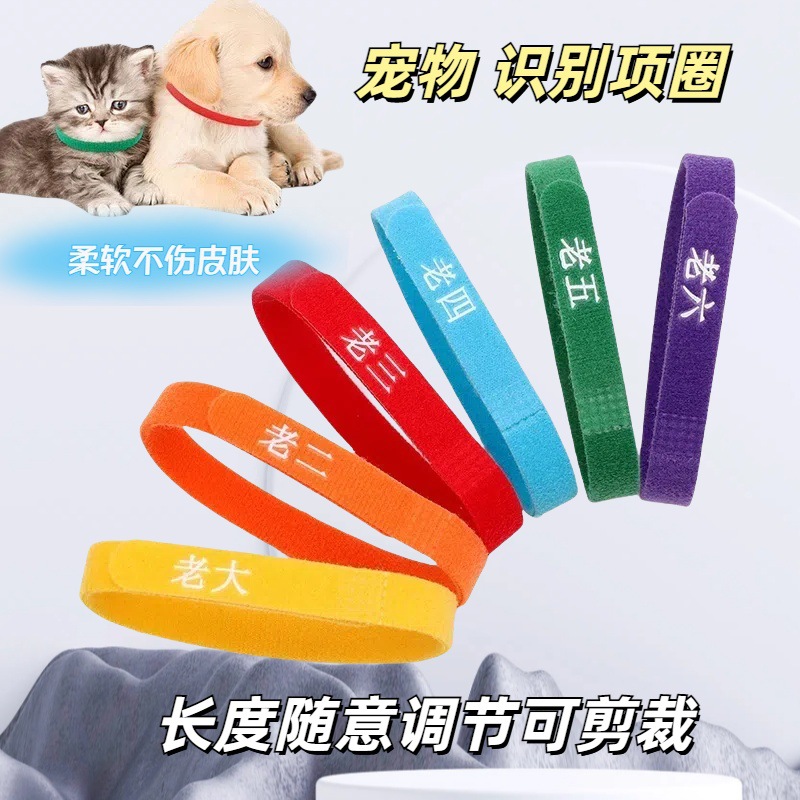 宠物分类项圈幼猫幼犬身份识别项圈新生小狗猫咪出生顺序奶狗项链