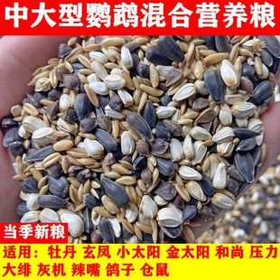 中大型鹦鹉混合营养粮玄凤亚历灰鹦鹉饲料鸟粮鸟食鸽子粮5斤包邮