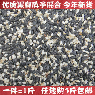 黑珍珠油葵子瓜子红花子白瓜子2合1混合葵花子油葵籽鹦鹉鸟食 1斤