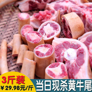 生鲜牛尾巴新鲜整根原切带皮牛尾骨商用黄牛尾巴生牛肉3斤牛尾骨