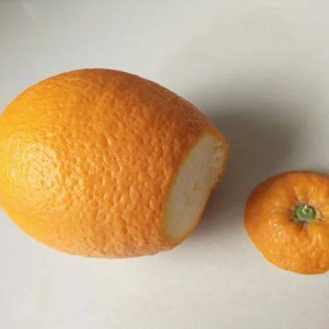 长红纽荷尔橙子，皮厚，新鲜采摘,水产肉类/新鲜蔬果/熟食,橙,淘宝优惠券,粉丝福利购,淘宝优惠卷