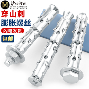 沪心国标穿山刺膨胀螺丝泡沫砖轻质砖专用膨胀螺栓鱼鳞拉爆膨胀管