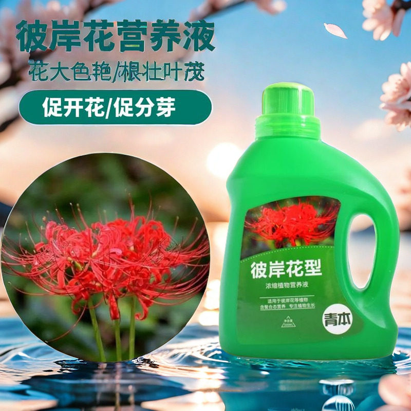 彼岸花专用肥肥料曼珠沙华四季红色舍子花营养液石蒜有机肥复合肥