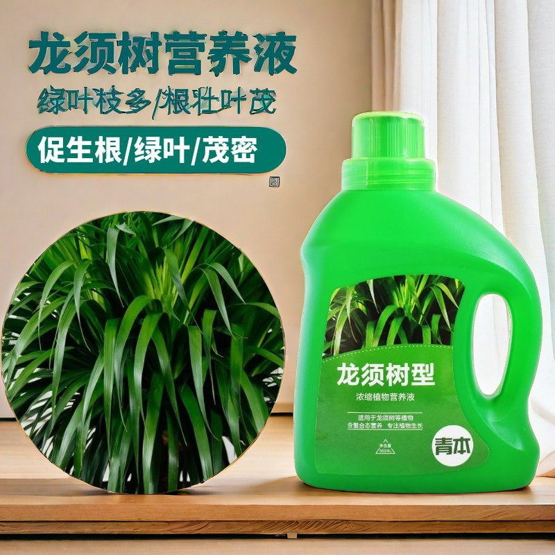 龙须树龙血树专用肥料营养液盆栽植物室内绿植养花肥通用氮磷钾肥