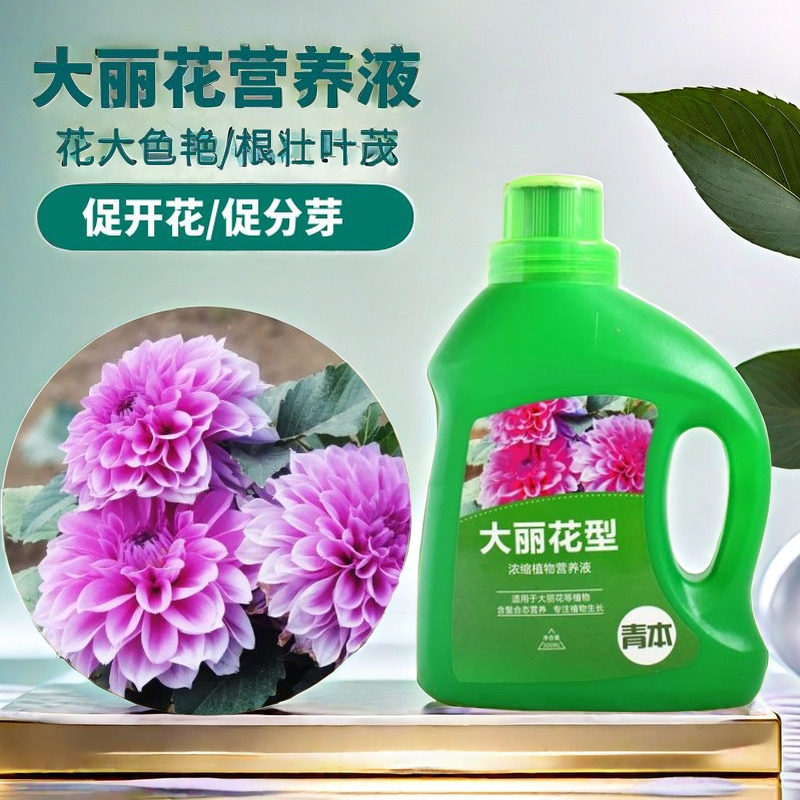 大丽花肥料专用肥营养液球根植物风信子郁金香仙客来种球通用盆栽,鲜花速递/花卉仿真/绿植园艺,家庭园艺肥料,淘宝优惠券,粉丝福利购,淘宝优惠卷