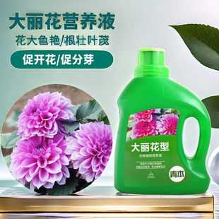 大丽花肥料专用肥营养液球根植物风信子郁金香仙客来种球通用盆栽