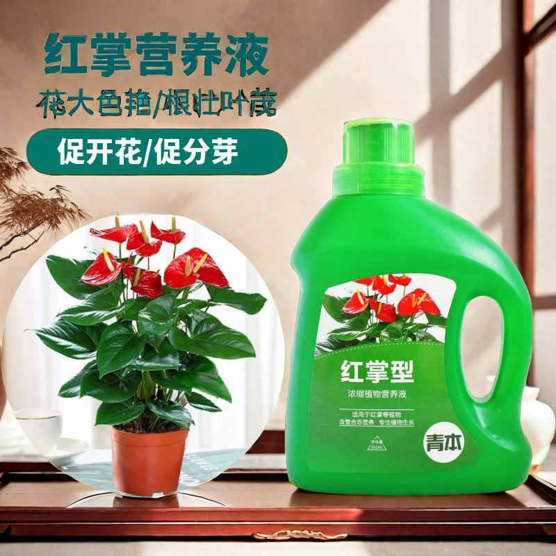 红掌专用肥料白掌营养液一帆风顺营养液红掌专用营养液白掌肥料