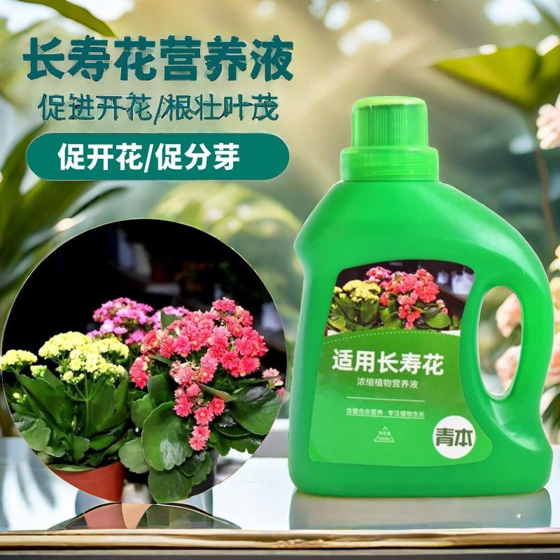 长寿花专用肥料营养液盆栽植物室内绿植养花通用氮磷钾复合花肥料