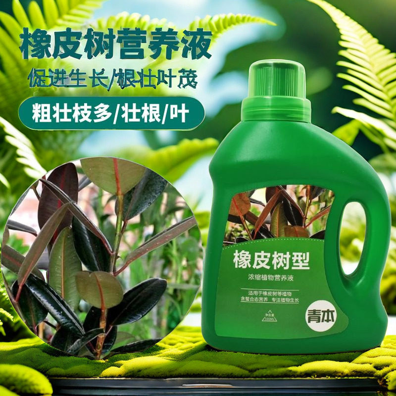 橡皮树专用肥料营养液四季常青黑金刚室内室外盆栽通用型缓释肥料