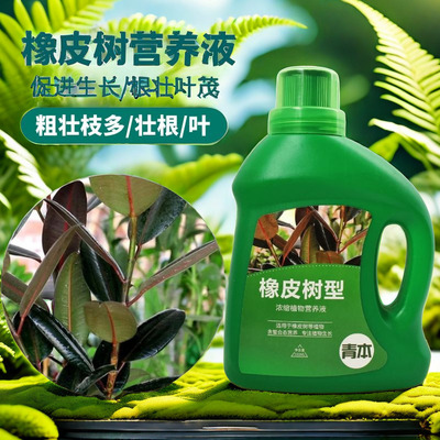 橡皮树专用肥料营养液四季常青黑金刚室内室外盆栽通用型缓释肥料