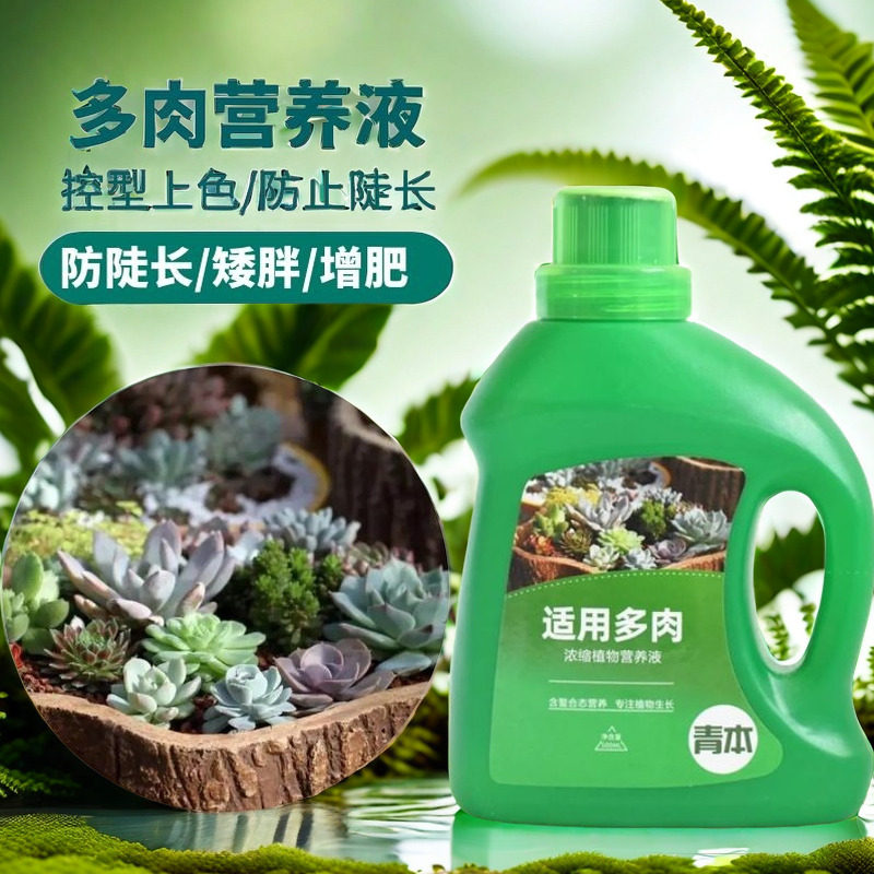 养多肉营养液肥料专用肥营养素肉多多生根肉肉植物花肥增色液体肥