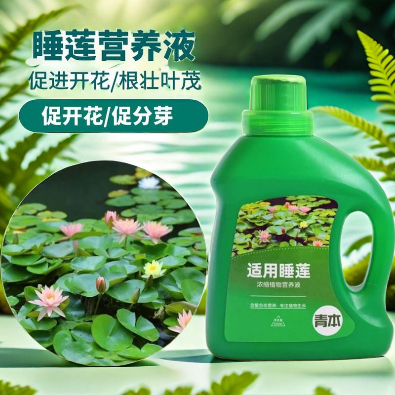 睡莲肥料碗莲营养液睡莲专用营养液促进开花的肥料水培荷花专用肥