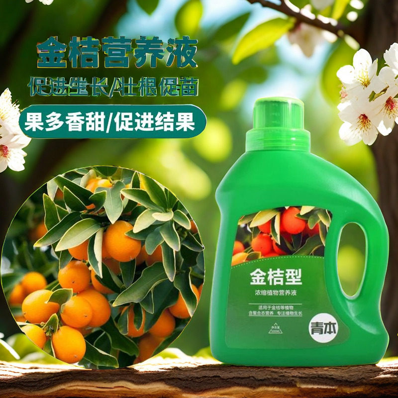 金桔树专用盆栽肥料营养液金橘树苗绿植室内通用型改善黄叶不结果,鲜花速递/花卉仿真/绿植园艺,家庭园艺肥料,淘宝优惠券,粉丝福利购,淘宝优惠卷