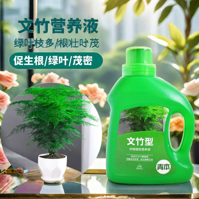 文竹专用肥营养液盆栽植物养花通用花肥料水培盆景治叶子发黄室内