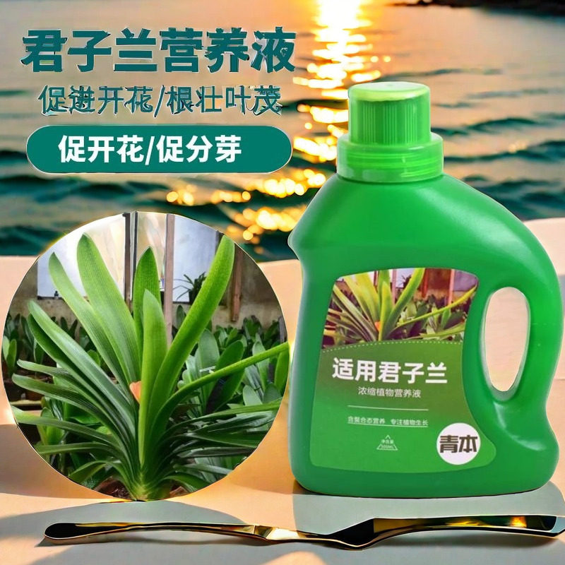 君子兰专用肥料营养液家用兰花养花有机肥料盆栽通用型促开花催花
