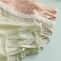 Băng lưới đồ lót của phụ nữ ren tập tin cotton ở eo mùa hè mỏng phần thoáng khí gợi cảm cô gái Nhật Bản đồ lót nữ - Giống cái quan lot nu