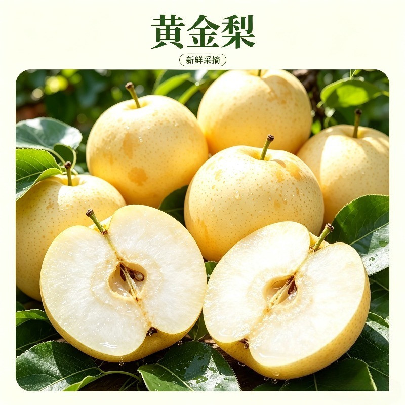 河南周口黄金梨皮薄脆甜爆汁