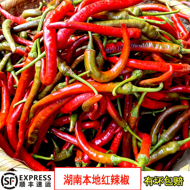 新鲜软皮红辣椒5斤农家自种顺丰