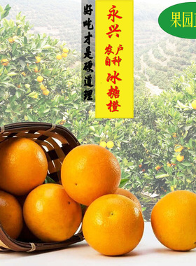 正宗湖南永兴农户自种冰糖橙果园直发现摘甜橙子新鲜水果郴州特产