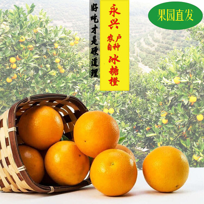新鲜湖南永兴冰糖橙5/9/17斤现摘