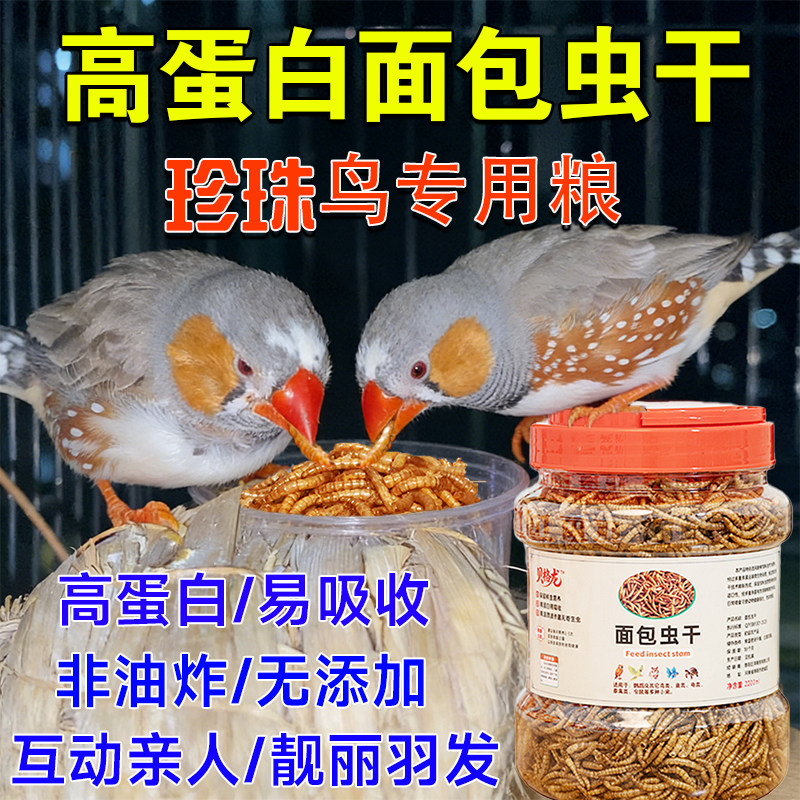 珍珠鸟面包虫干文鸟鸟粮零食