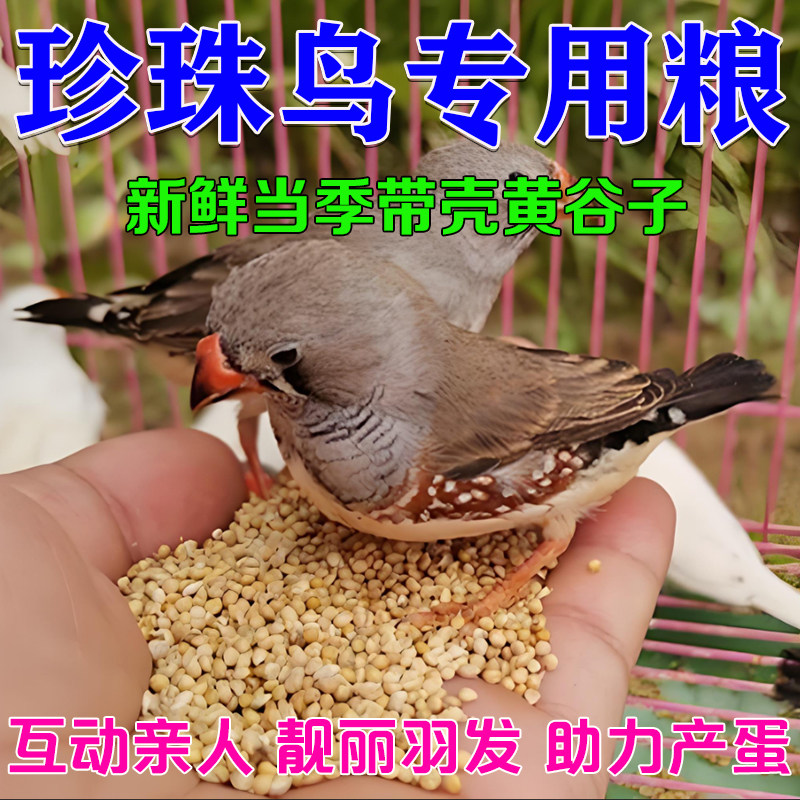 珍珠鸟带壳黄谷子文鸟鸟粮金山珍珠小珍珠锦华雀幼鸟通用营养粮食,宠物/宠物食品及用品,鸟零食,淘宝优惠券,粉丝福利购,淘宝优惠卷