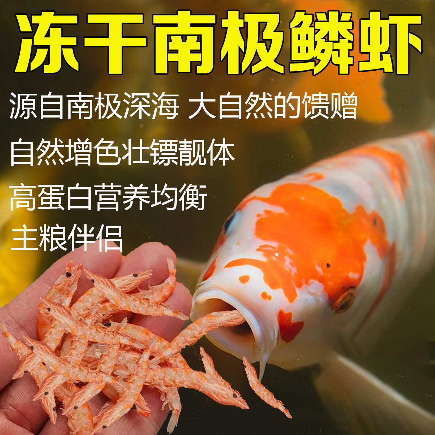 无盐南极磷虾冻干锦鲤鱼食龟粮