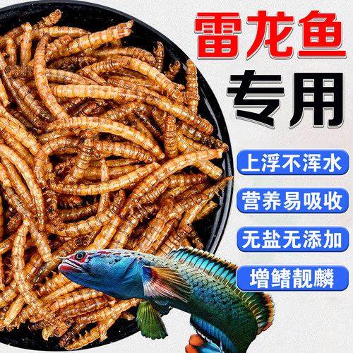 雷龙新款上市优质鱼专用饲料