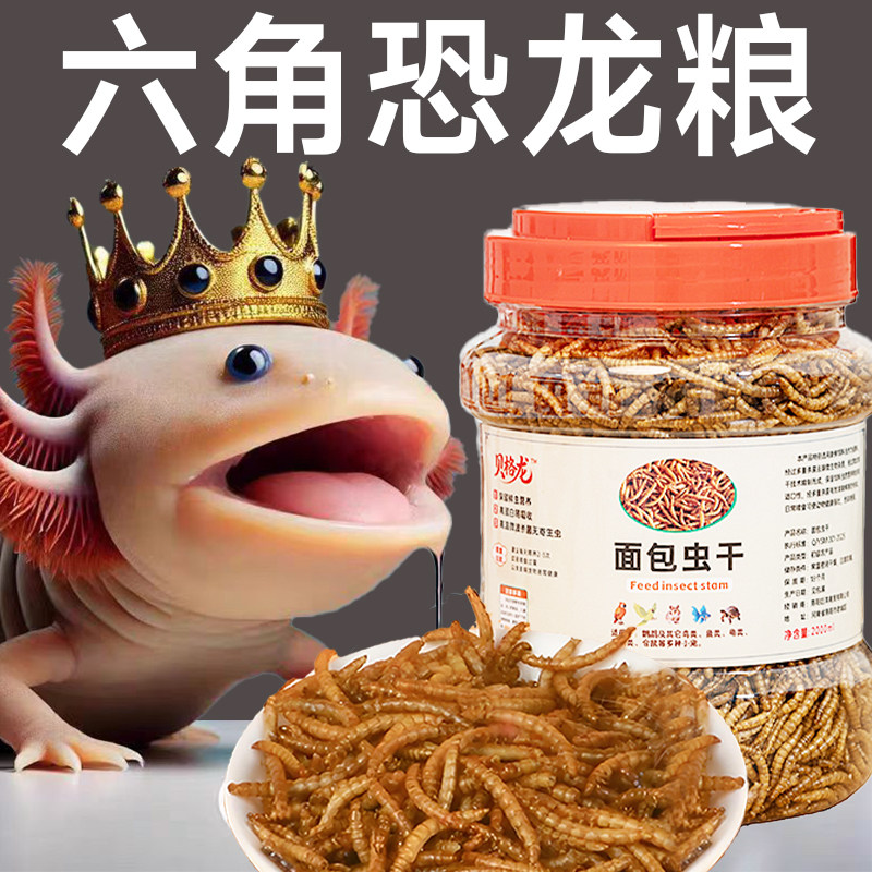 六角恐龙鱼饲料上浮高蛋白面包虫干虾干东方蝾螈娃娃鱼雷龙鱼鱼食