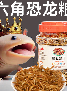 六角恐龙鱼饲料上浮高蛋白面包虫干虾干东方蝾螈娃娃鱼雷龙鱼鱼食