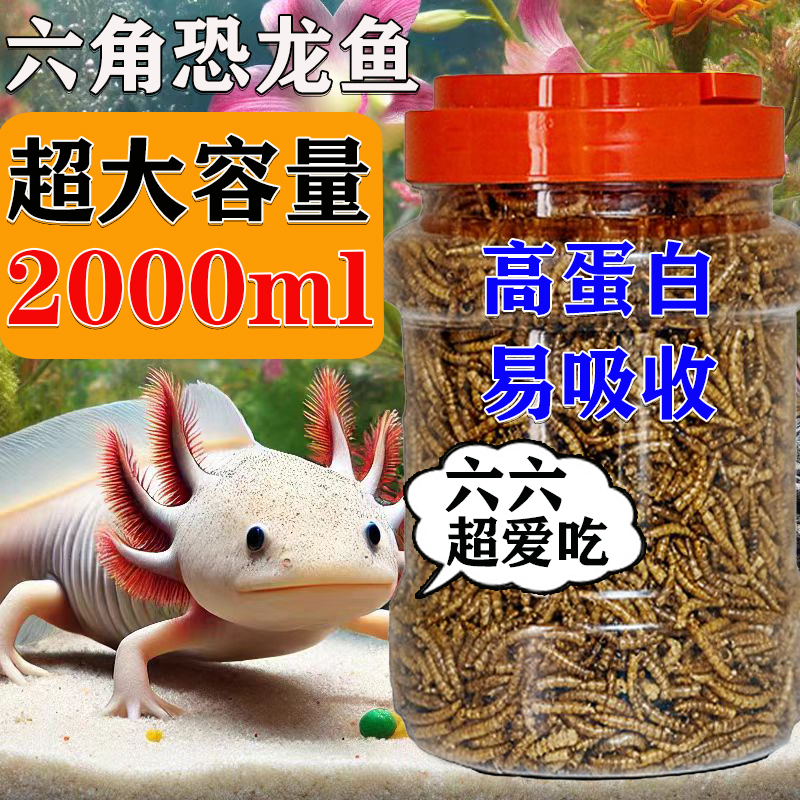 六角恐龙鱼饲料高蛋白面包虫