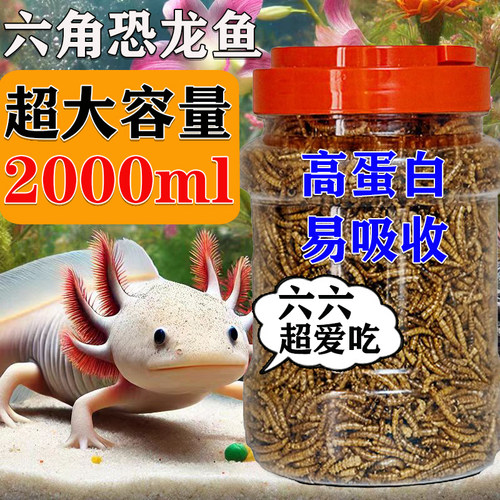六角恐龙鱼饲料高蛋白面包虫
