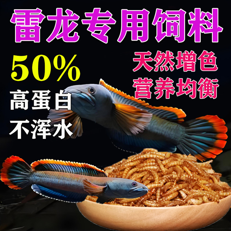 雷龙鱼饲料高蛋白上浮鱼食