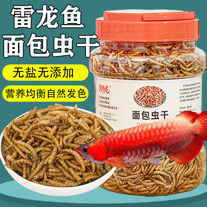 雷龙鱼饲料金龙鱼银龙鱼面包虫干