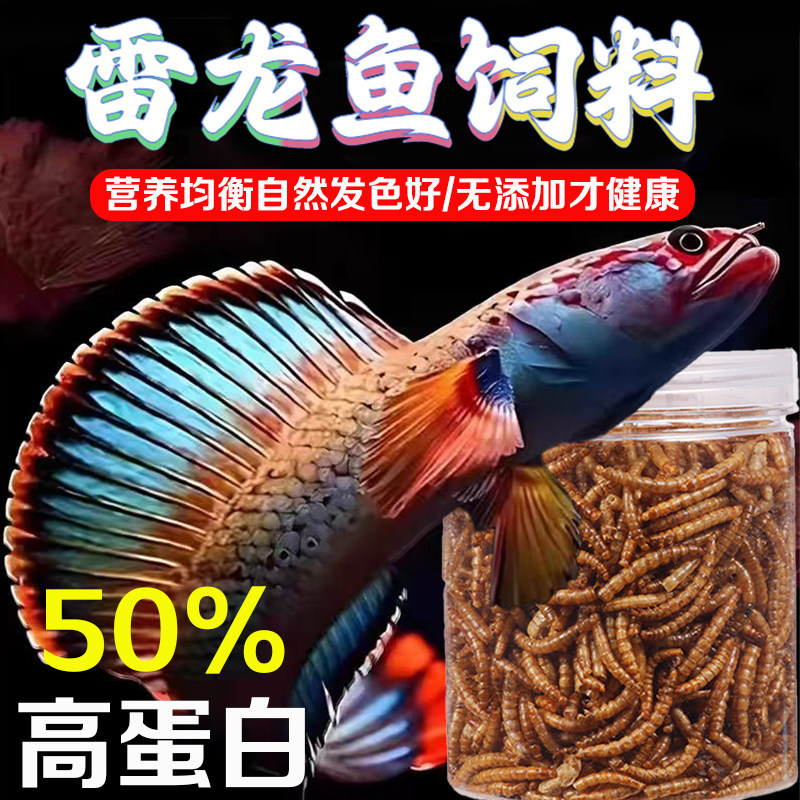 雷龙鱼饲料金龙鱼银龙鱼鱼食