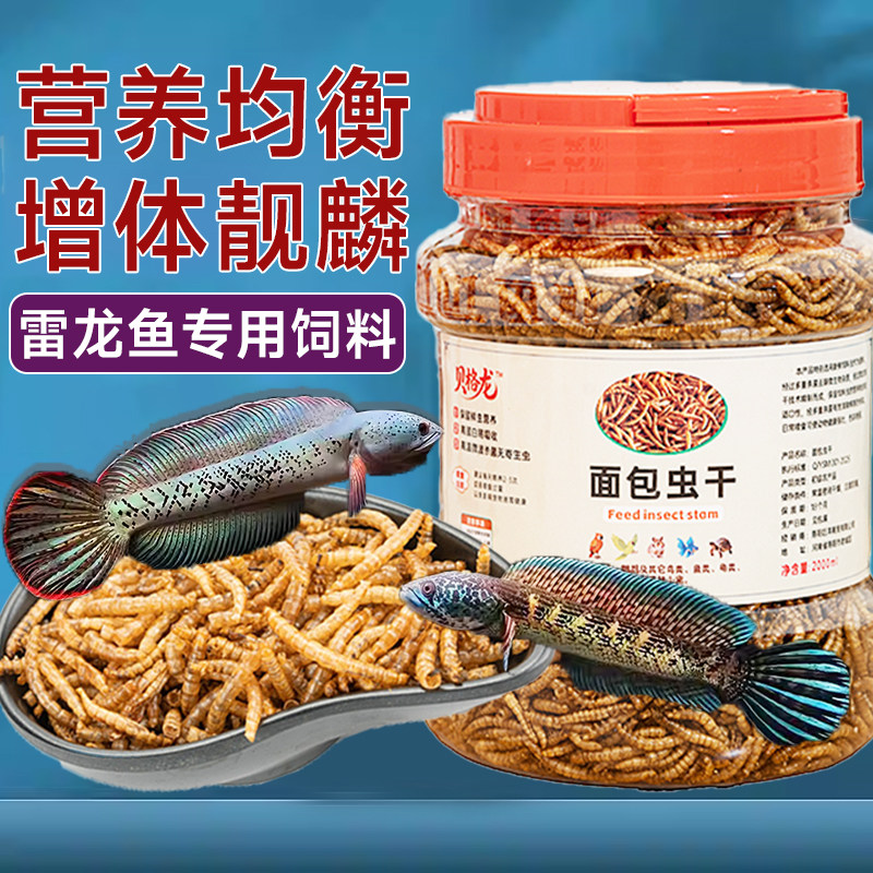 雷龙鱼饲料黄金眼镜蛇银龙鱼鱼食